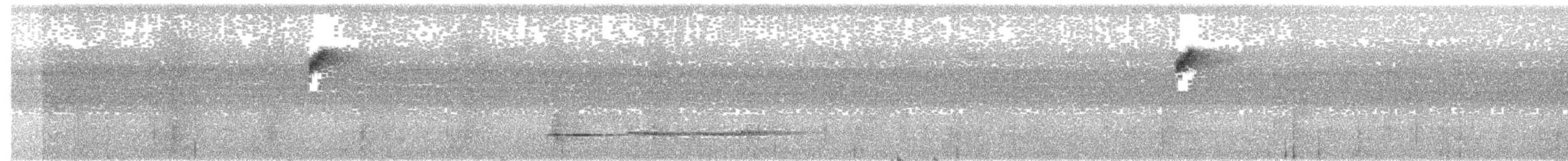 Gözlüklü Yerçavuşu (perspicillatus) - ML203997941