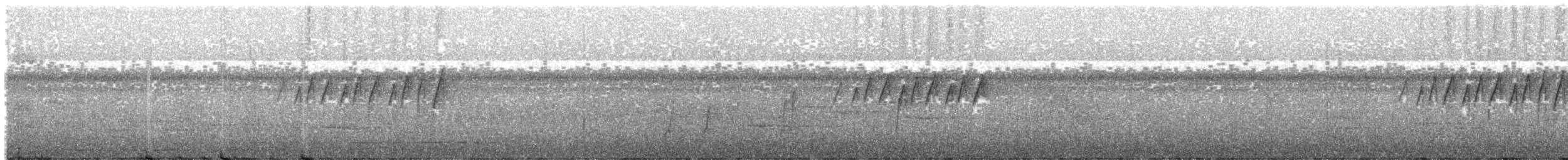 praktmønjefugl (speciosus gr.) - ML203998331
