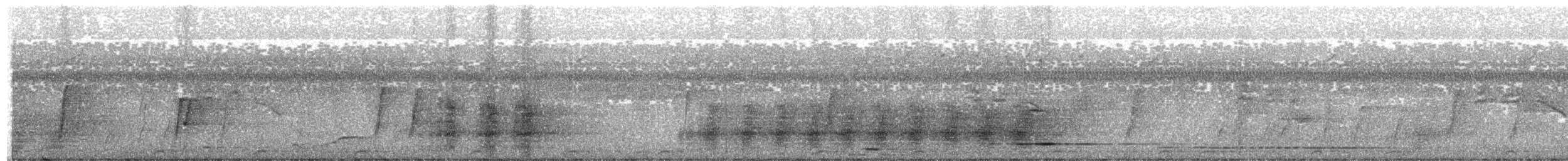 svartskrike (aterrimus) - ML203998381