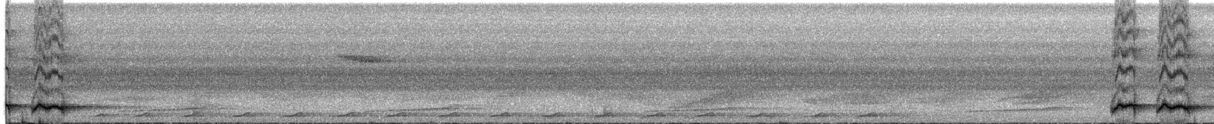 Doğulu Kara Başlı Pitta (mefoorana) - ML203999101