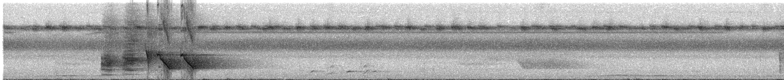 Glanzfleckdrongo (carbonarius) - ML203999131
