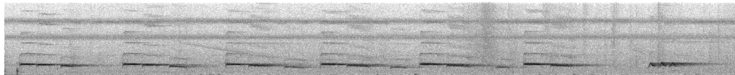 hvitkronegjøk - ML203999391