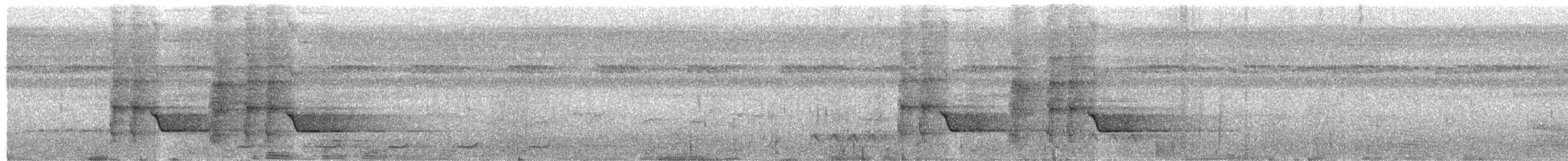Сверкающий дронго (carbonarius) - ML203999541