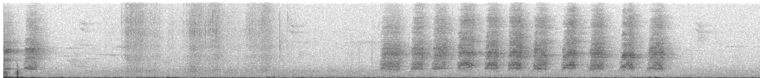 Méliphage fuligineux - ML203999561