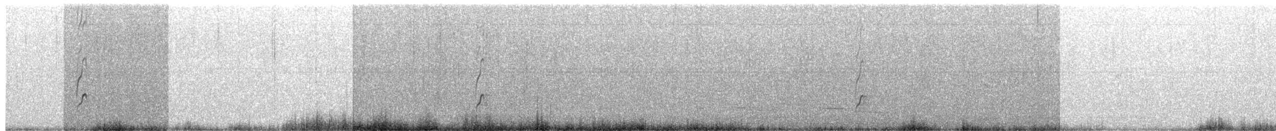 Malaysian Plover - ML203999711