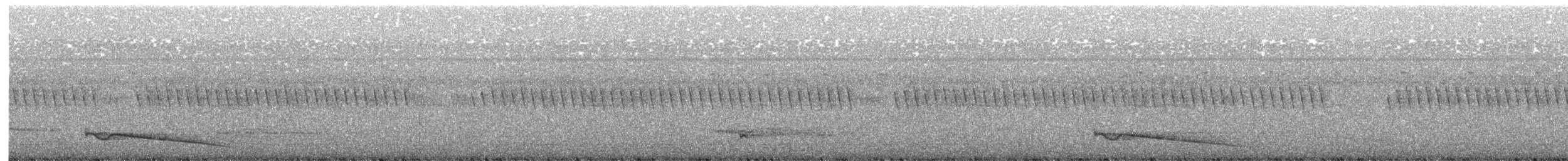 Riesennachtschwalbe - ML203999901
