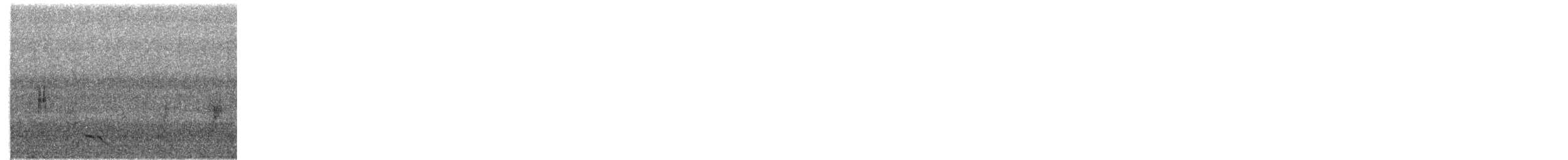 コビトアナツバメ - ML203999961