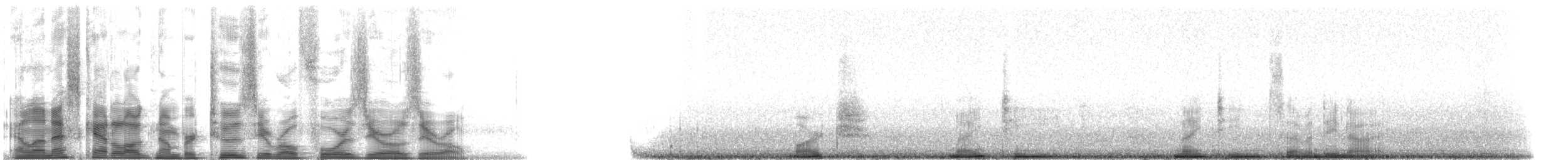 American Crow - ML20400