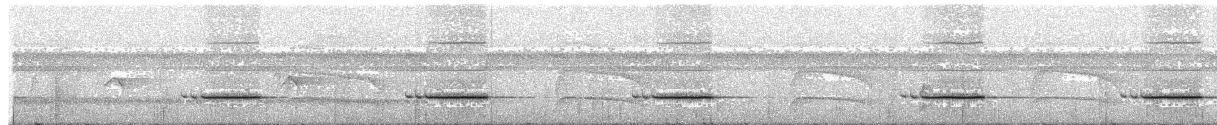 Striped Wren-Babbler - ML204000351