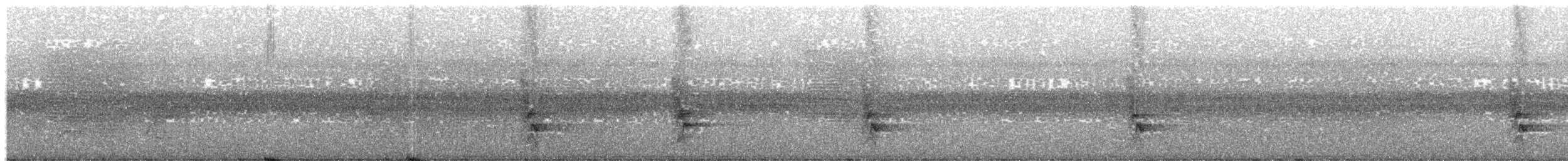 Perlbrust-Fächerschwanz - ML204000431