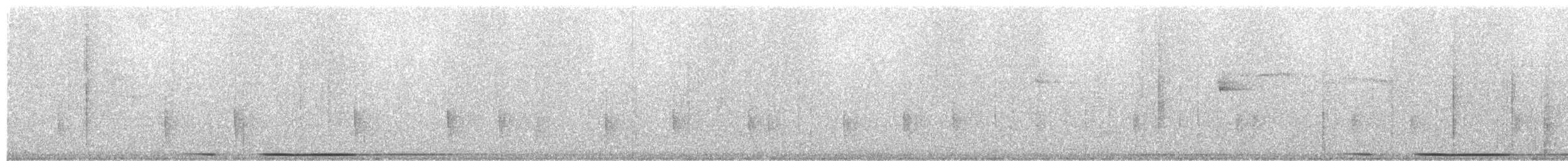 holub bledočelý [skupina verreauxi] - ML204001851