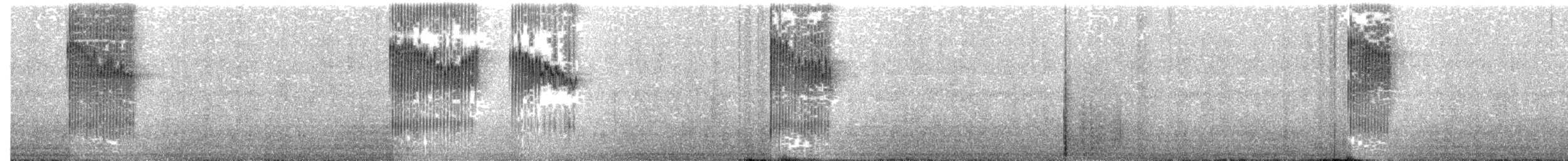 Ashy Thrush - ML204002561