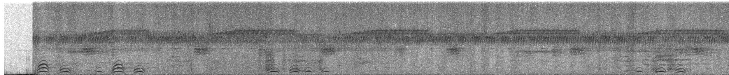 Сова-голконіг плямиста - ML204002721