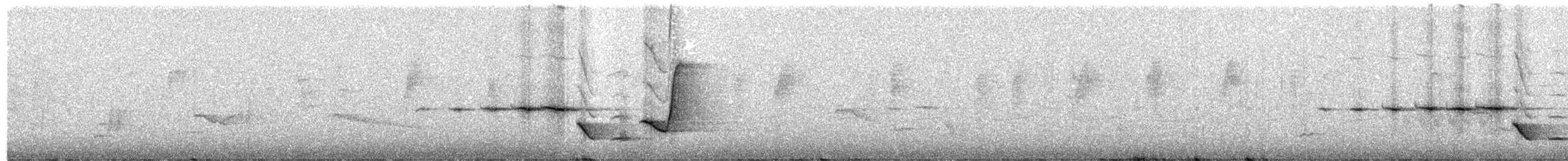 Golden Whistler (Western) - ML204003021