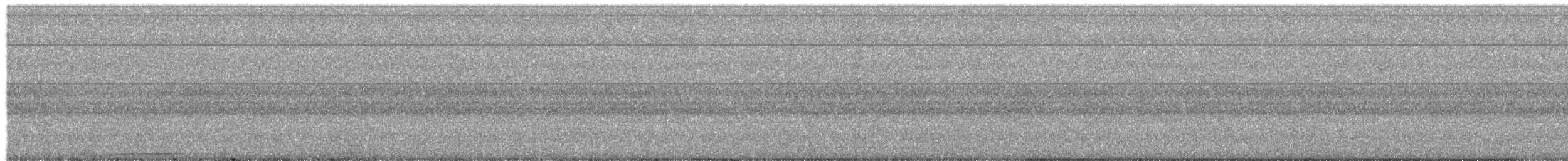 holub šarlatovoprsý - ML204004681