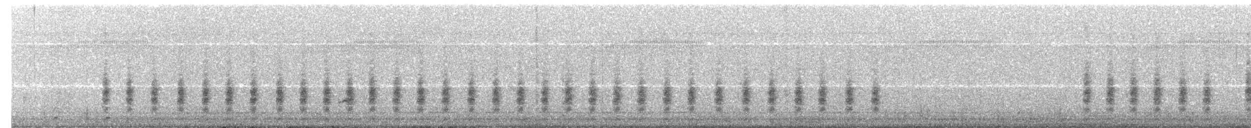 Isabellwürger - ML204005011