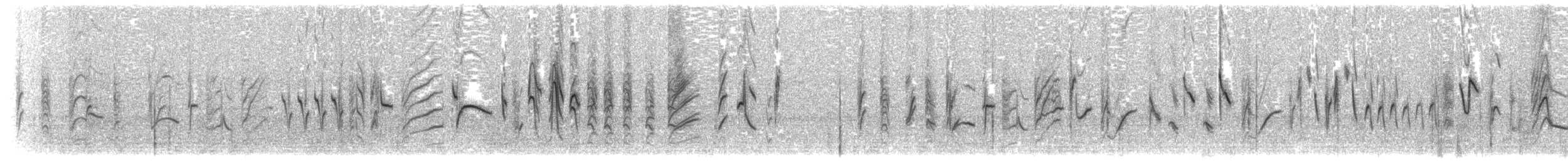 Schwarzzeisig - ML204006781