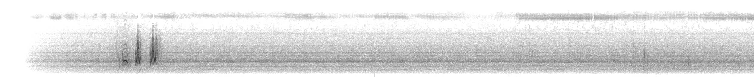 Galeper japoniarra - ML204006841
