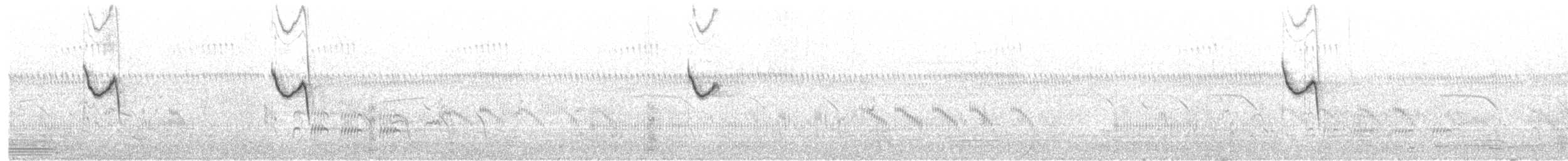 Golondrina Australiana - ML204008161