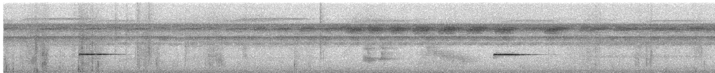 Troglodyte siffleur (groupe marginatus) - ML204008581