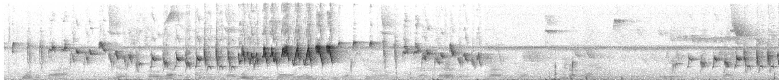 Two-banded Warbler (Two-banded) - ML204008791