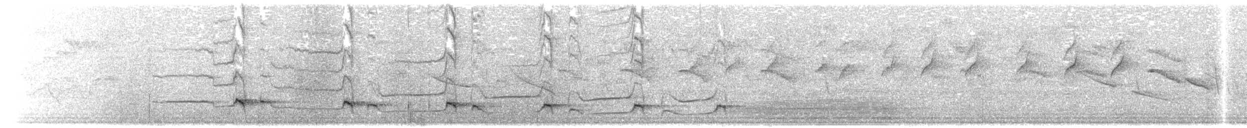 Starkschnabel-Baumsteiger [promeropirhynchus-Gruppe] - ML204009461