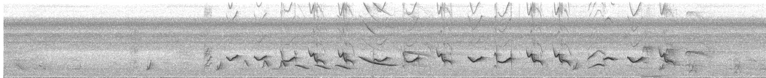 Black-billed Seed-Finch - ML204009831