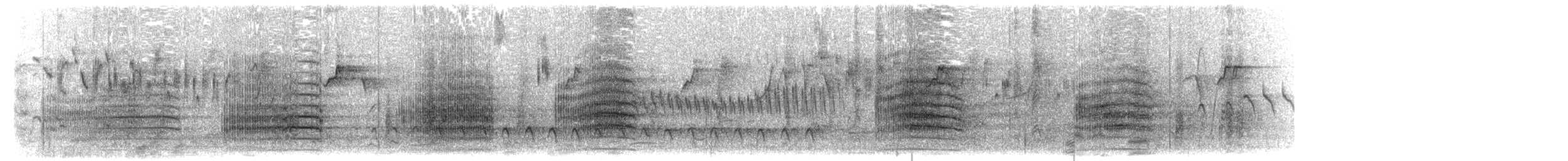 Cacatoès de Latham - ML204009871