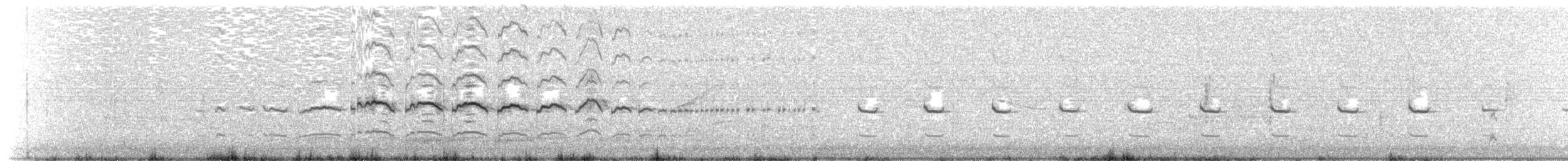 Kildir txirritxoa - ML204009971