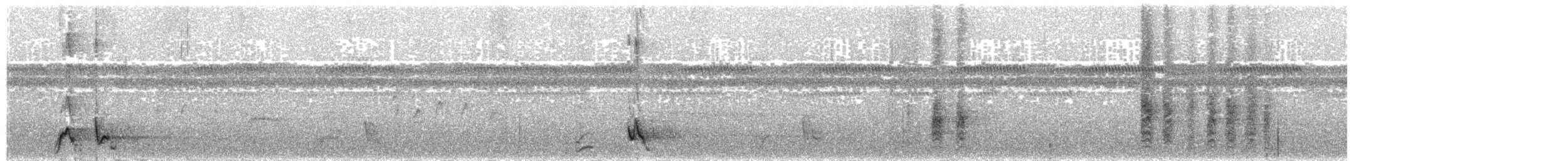 Northern Wattled-Honeyeater - ML204010001