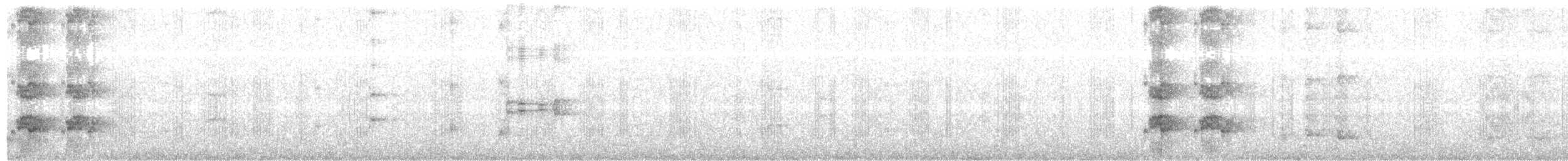 Куравонг сірий (підвид versicolor/plumbea) - ML204010441