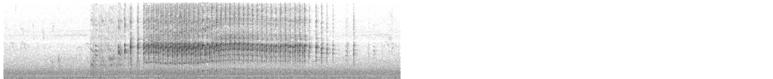 australdvergdykker - ML204010571