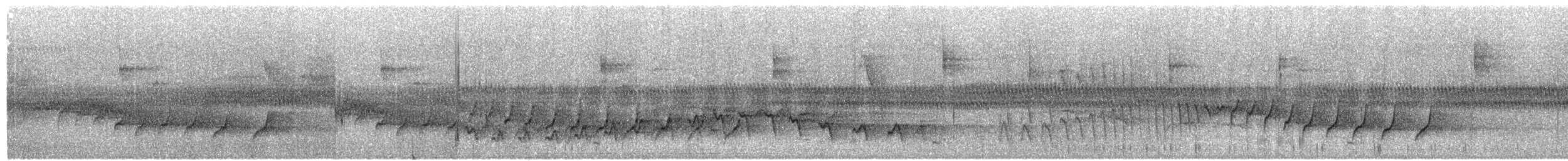 svartstrupehonningeter - ML204010771