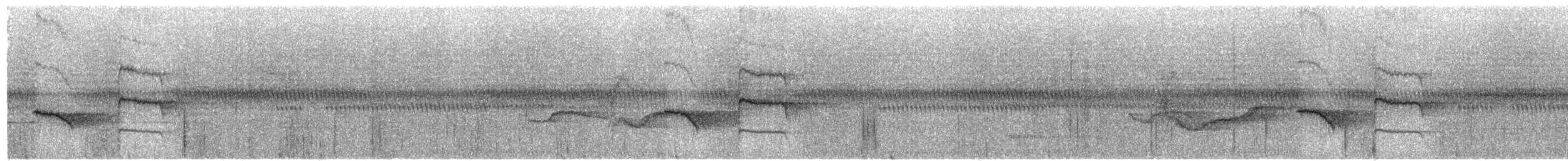 Méliphage enfumé - ML204010781