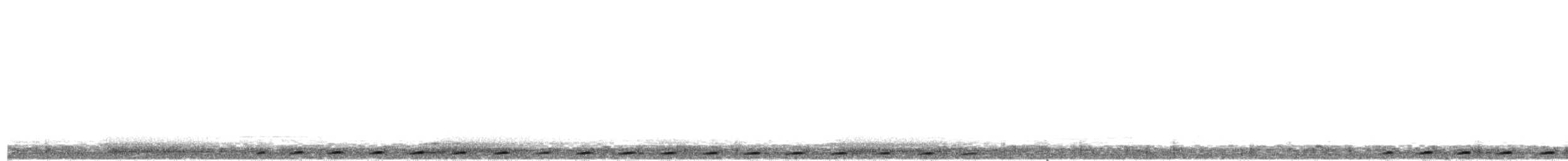 Тілопо новогвінейський (підвид gestroi) - ML204011041