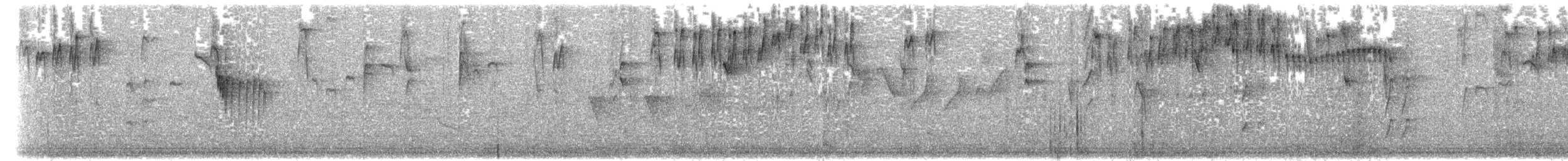 Tropfenbrust-Stachelschwanz - ML204011581