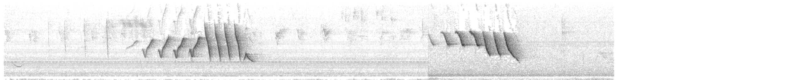 Northern/Mangrove Yellow Warbler - ML204011971