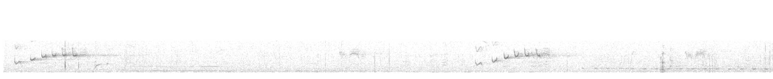 Weißbrust-Dickichtschlüpfer - ML204012131