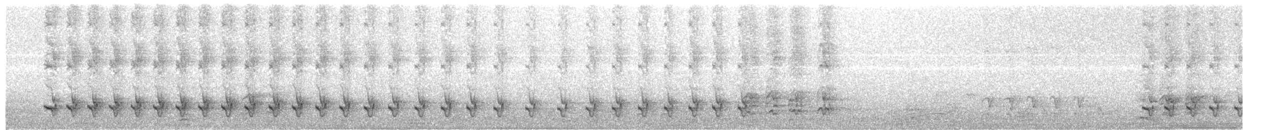 Синещёкая розелла [группа elegans] - ML204012201