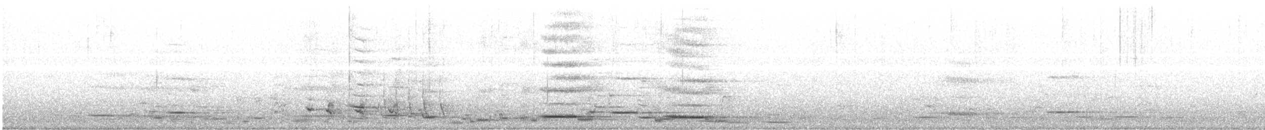 Flötenkrähenstar [tibicen-Gruppe] - ML204012211