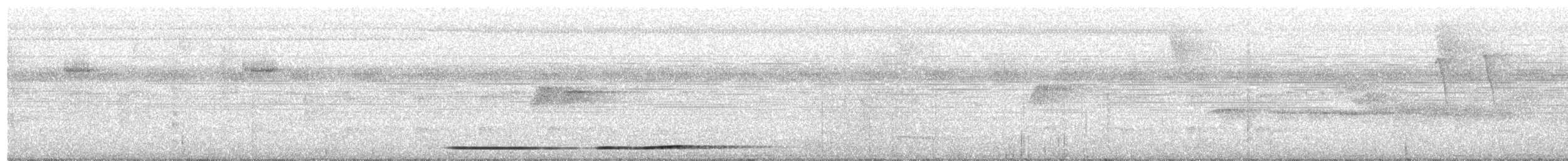 Tinamou à pieds rouges - ML204013041