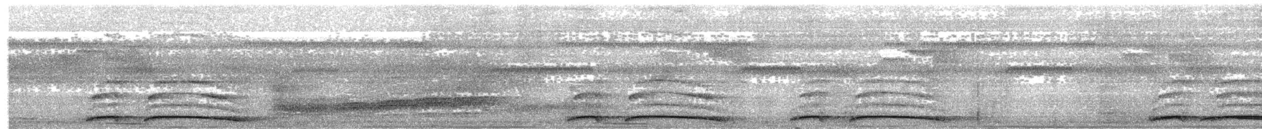 Halmahera Pittası (maxima) - ML204013251