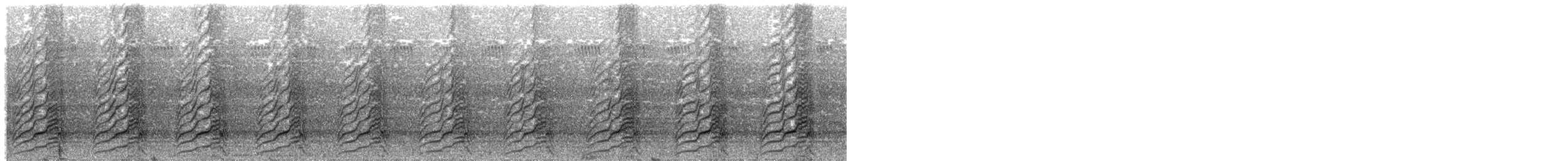 Moluccan Eclectus - ML204013281