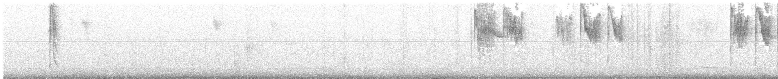 Хохлатый колибри - ML204013441