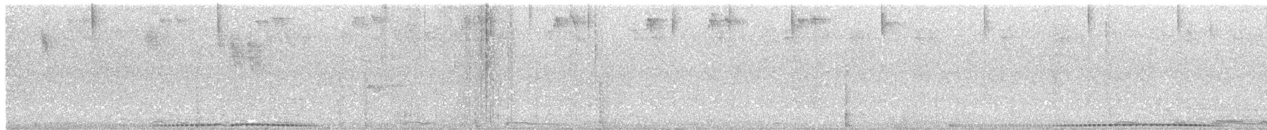 holub šedobřichý - ML204013471