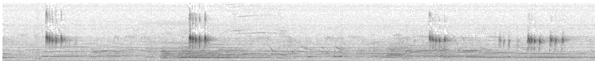 Antillennachtschwalbe - ML204013571