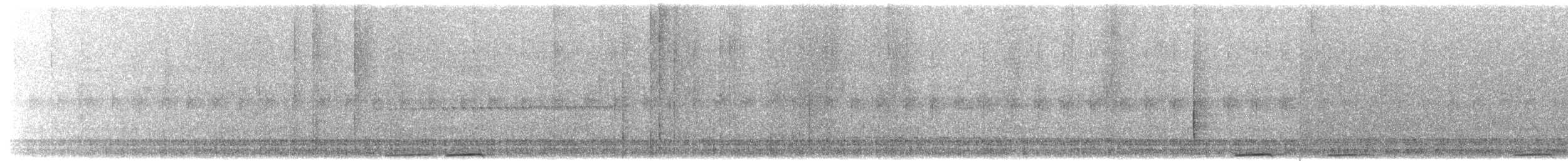 Carraca Terrestre Escamosa - ML204013691