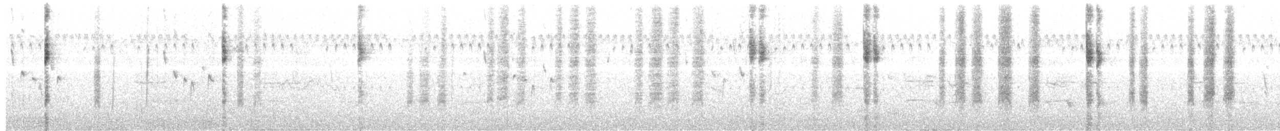 マミジロヤブムシクイ（frontalis グループ） - ML204014031