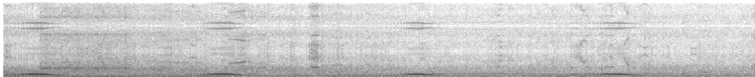 holub skalní (domácí) - ML204014141