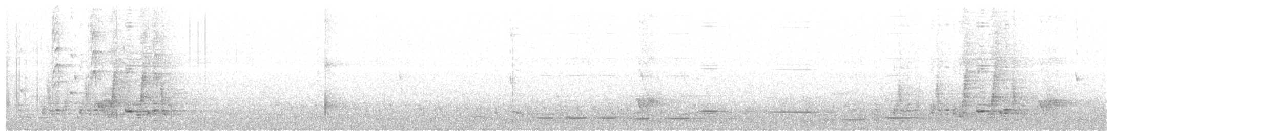 Сверкающий дронго [группа bracteatus] - ML204014541